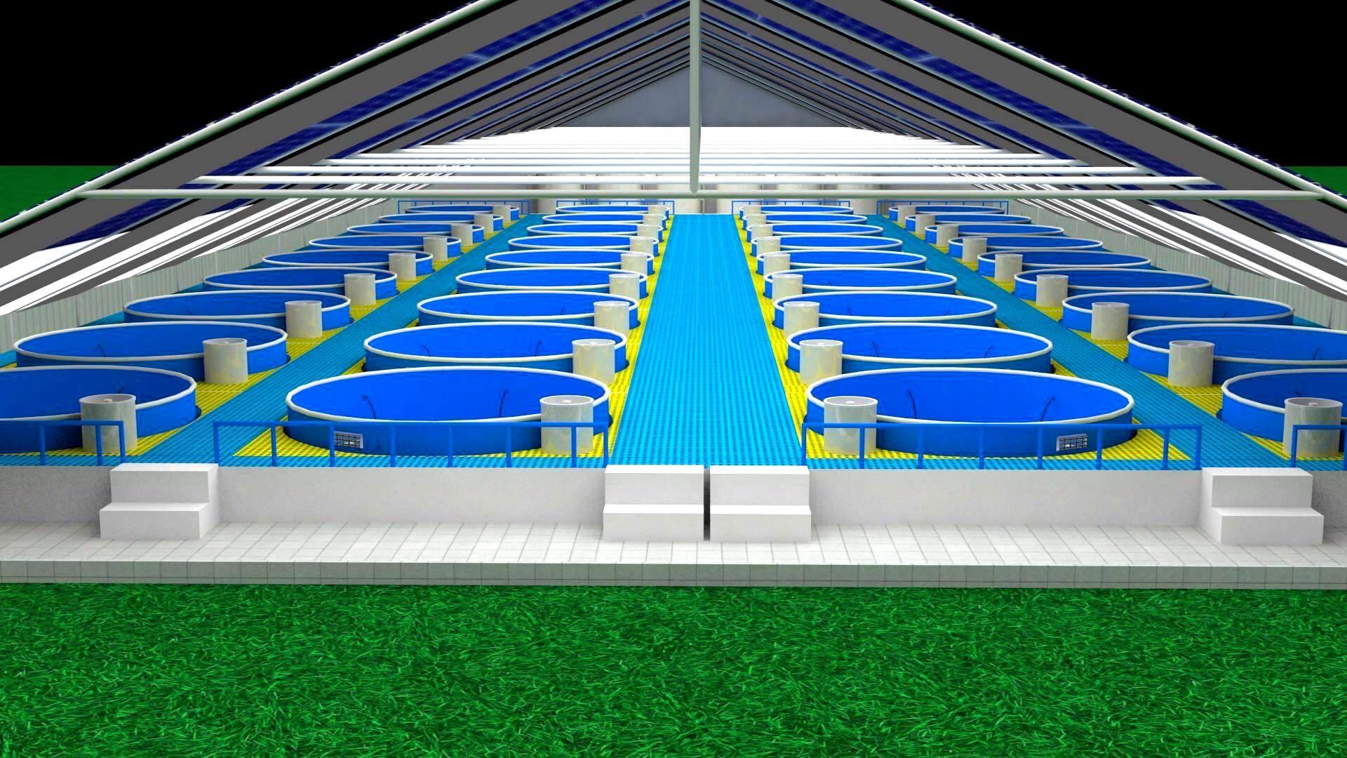 泰国室内循环水养殖项目的设计图与实景图
